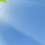 cropped-cropped-website-ontwerp.jpg