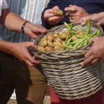 producten_480