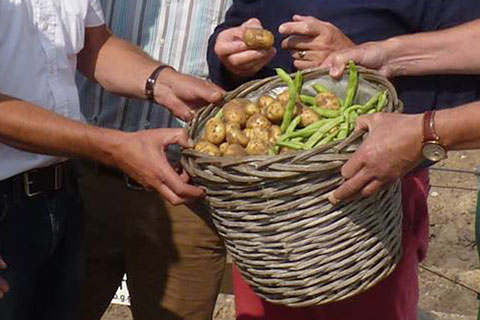 producten_480