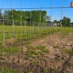 WP_20180507_18_23_57_Pro