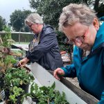 opening-plantjesbieb-24-september-2022