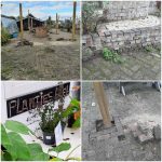 stoepgroen samen doen Reggetuin stadslandbouw goor groene loper hof van twente opening plantjesbied