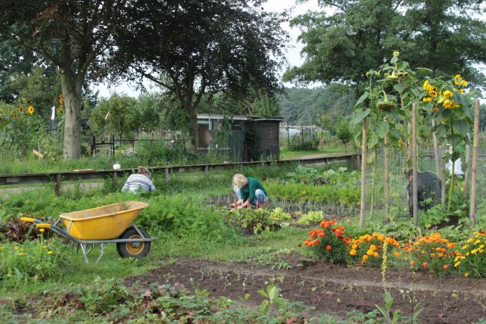 15. Reggetuin Goor (1)